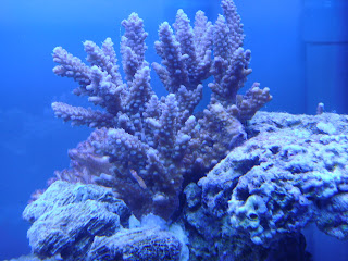 DSC03358.JPG