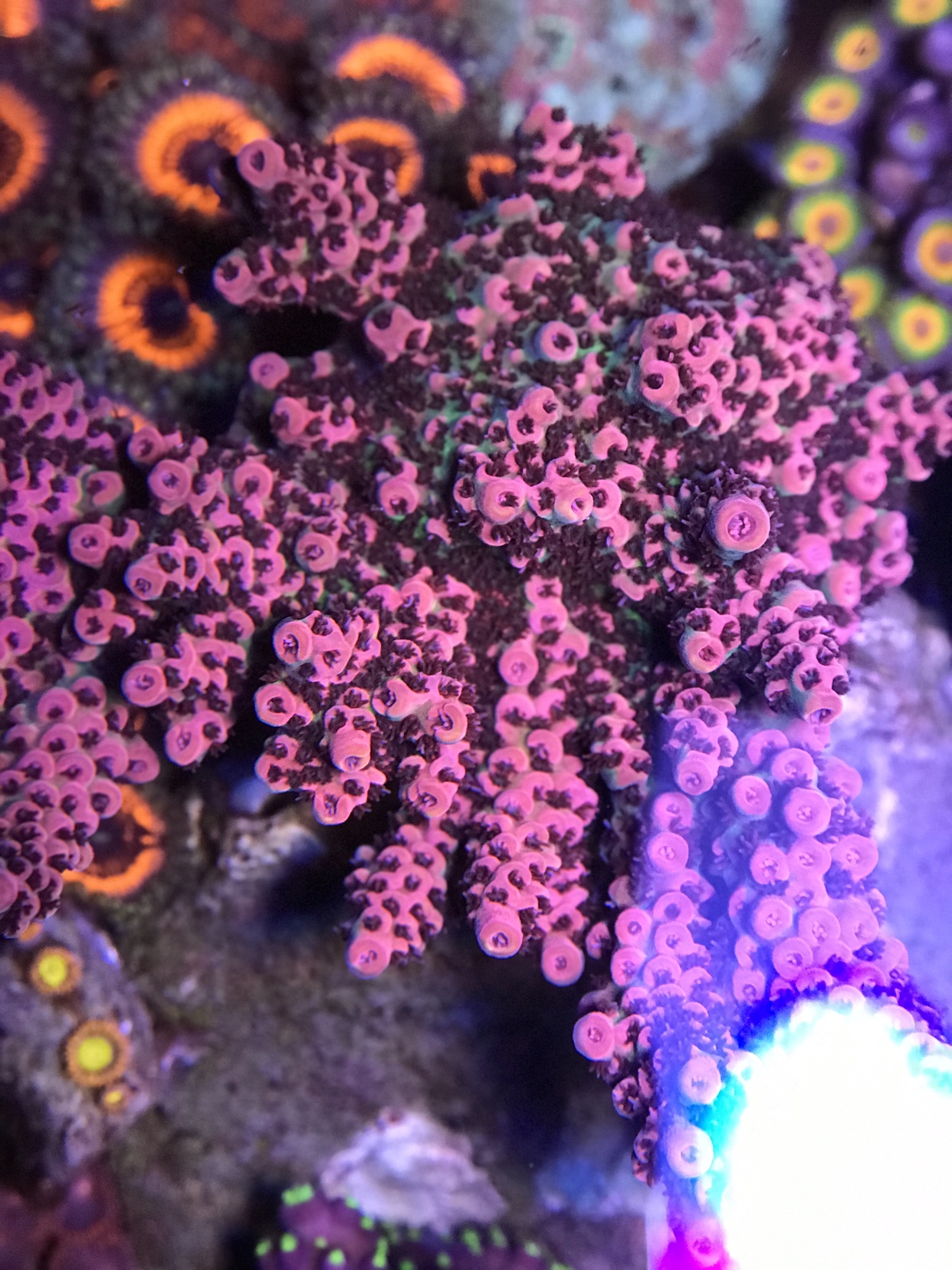 0684f07c74ed4150c003b1466b3144a6.jpg