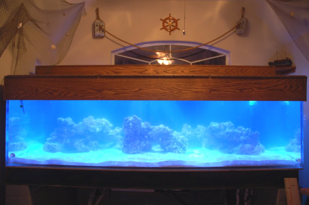 fishroom54.jpg