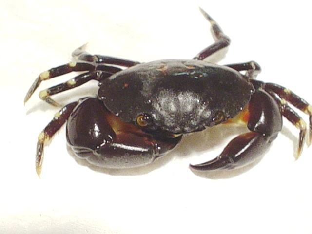 96114DSC01719.JPG.jpg