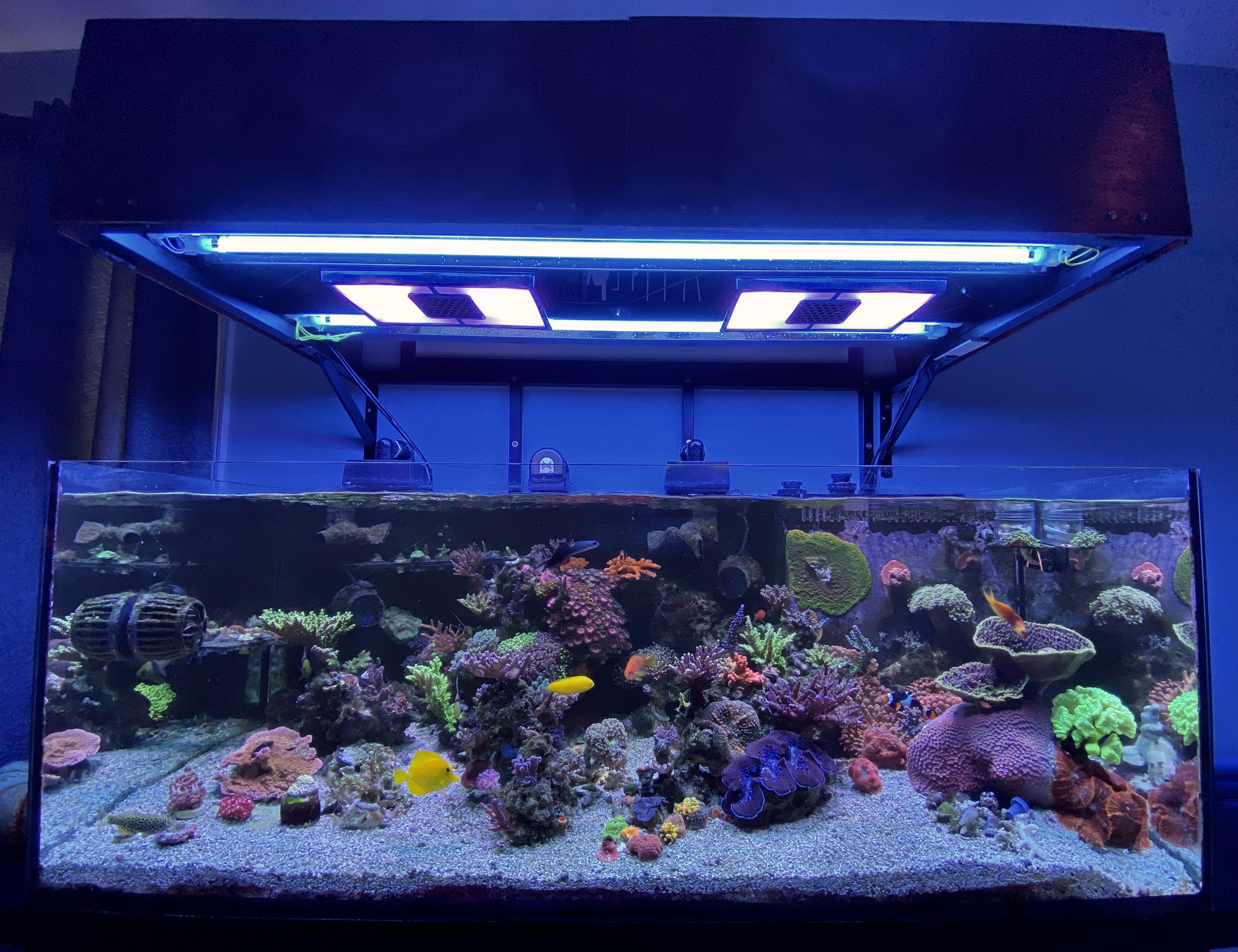 0617d7b3f4400334e415dc740cbfddc5.plist