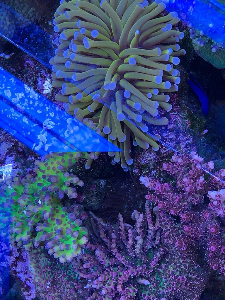 b81e355e30ebbf8ac0a16fe8079818cf.jpg