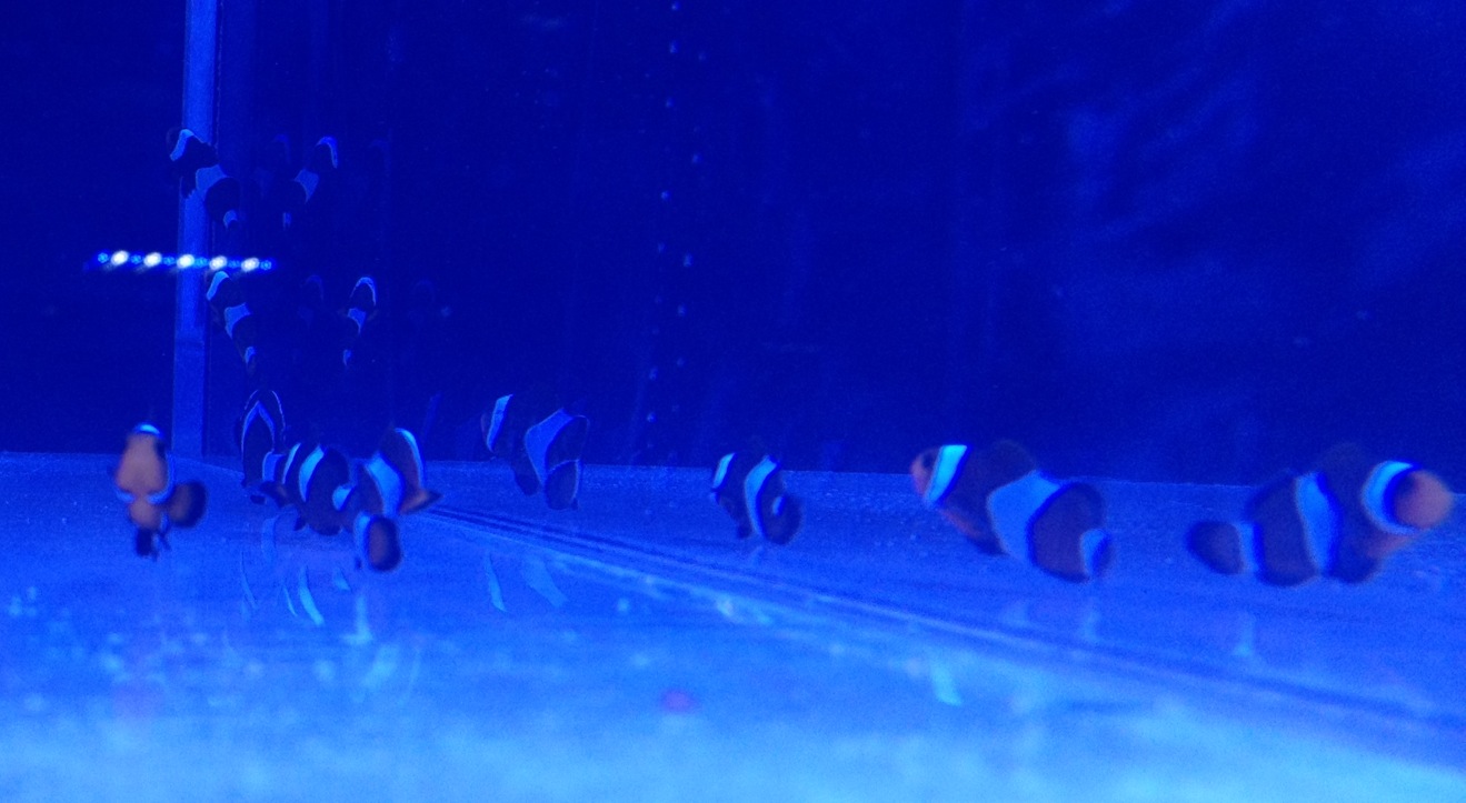 photo.jpg