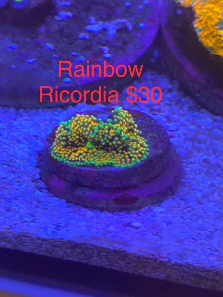 352a556bdb103b8c1e45c6a203f98fcf.jpg