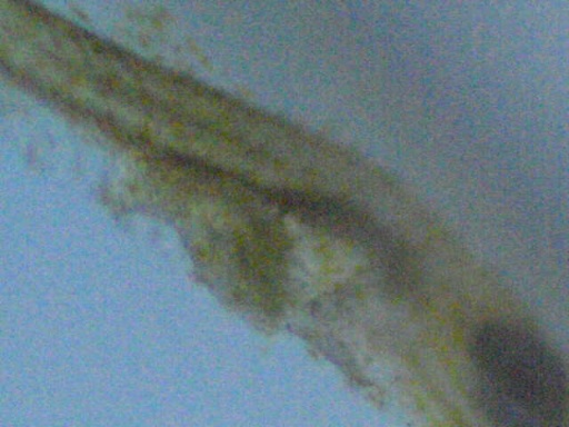 man_107_7.jpg