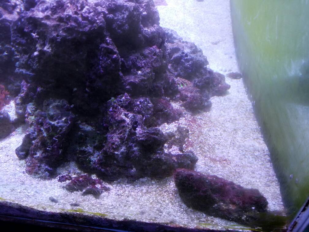 e8e3cdda2cefc6980ebe6c69b031350e.jpg