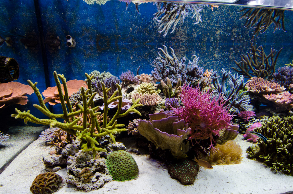 DSC_3704.jpg