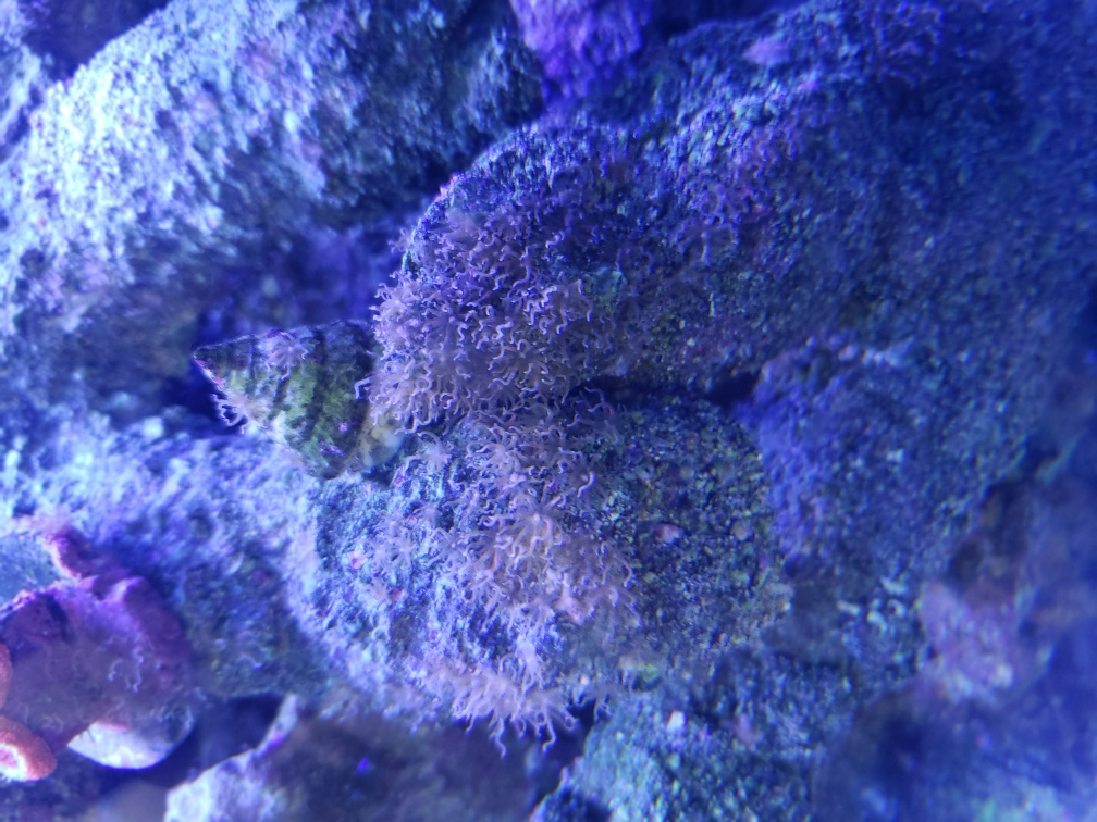 cb7c48754921e5f677878b89b58b074d.jpg