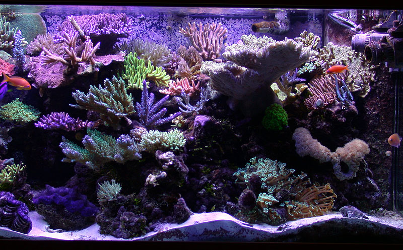 DSCN0897.jpg