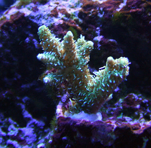 IMG_3561.JPG