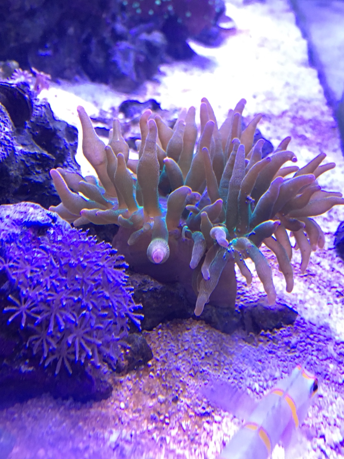 24f0f429ec7e484e4d0d1d95d29cb266.jpg