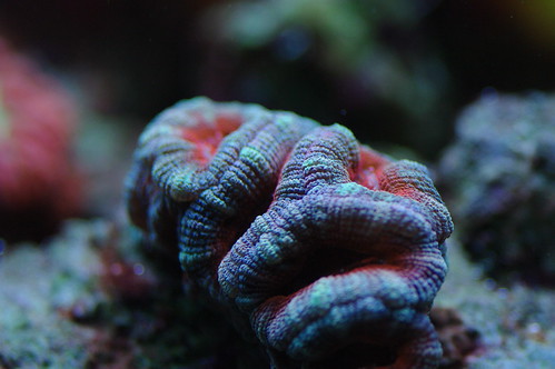 3348774576_3f9224dc12.jpg
