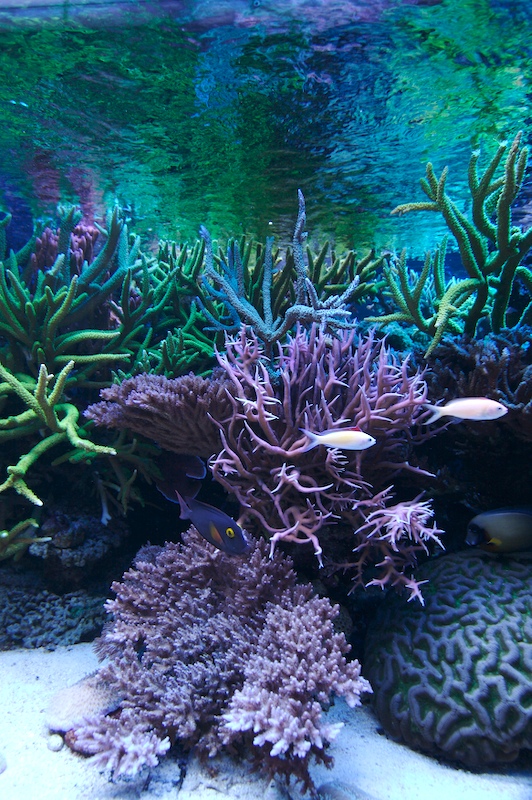 20080929-7.jpg