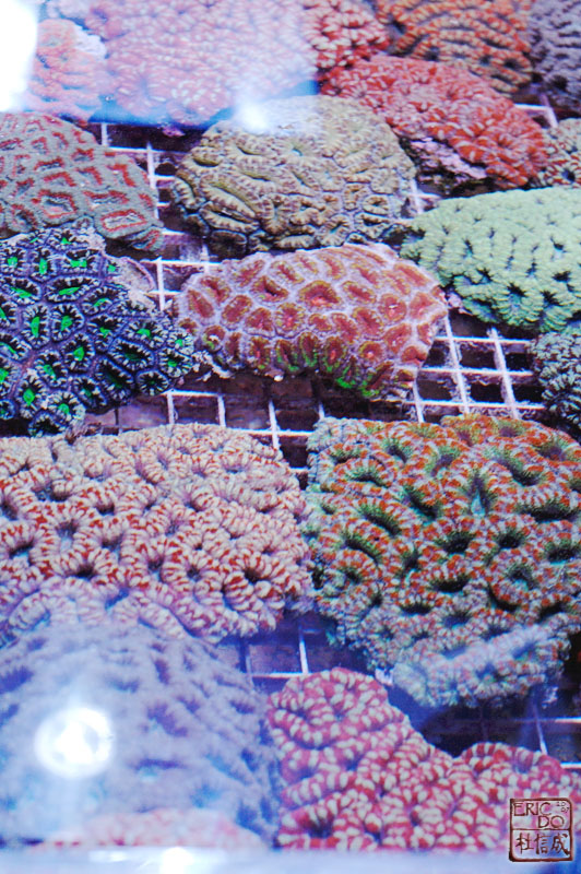 D2X_1119.jpg