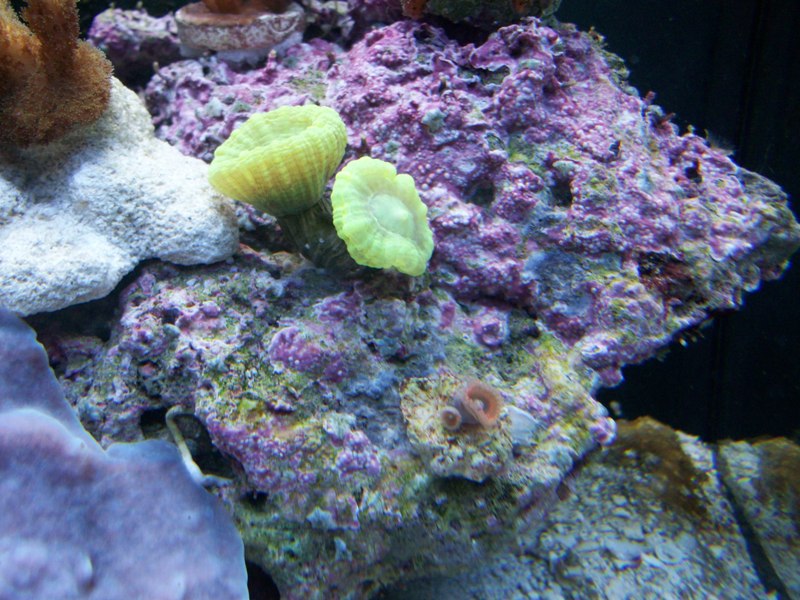 100_6083.jpg
