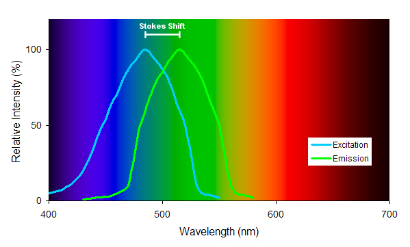 FluorescenceSpectra.jpg
