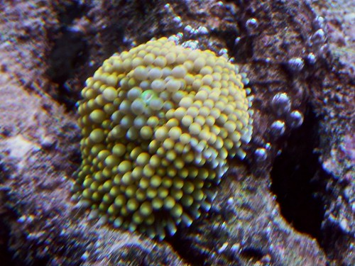 3208669984_27718e3d39.jpg