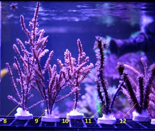 e1c24fec62ad7008585f99f93e1dedd2.jpg