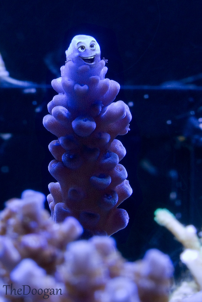8464238780_ae4a8f92df_b.jpg