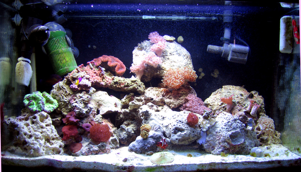 tank-07-21-06.jpg
