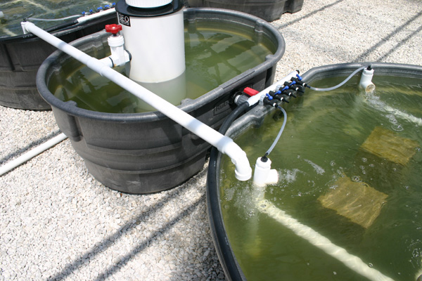 7-24-skimmer_output.jpg
