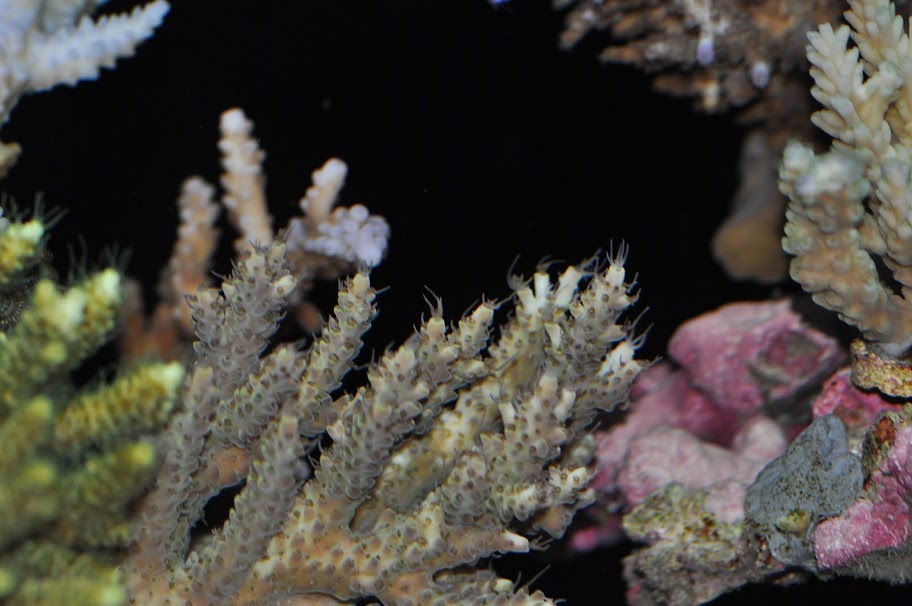 DSC_3262.JPG