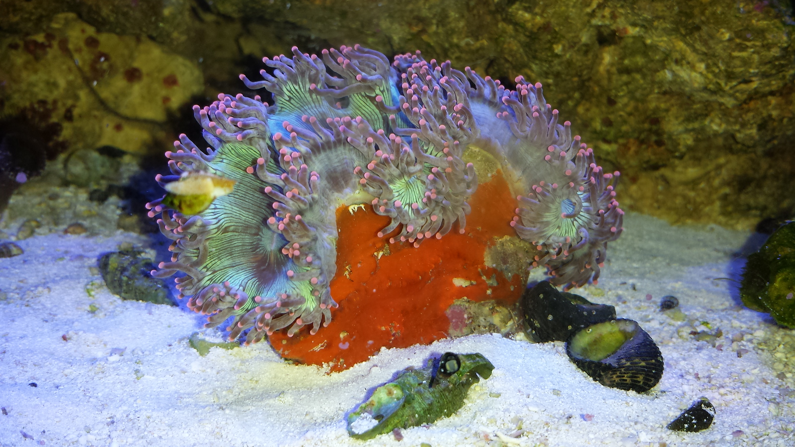 20131102_200452-X3.jpg