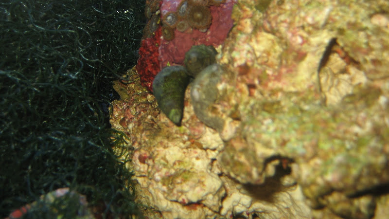 IMG_3542.JPG