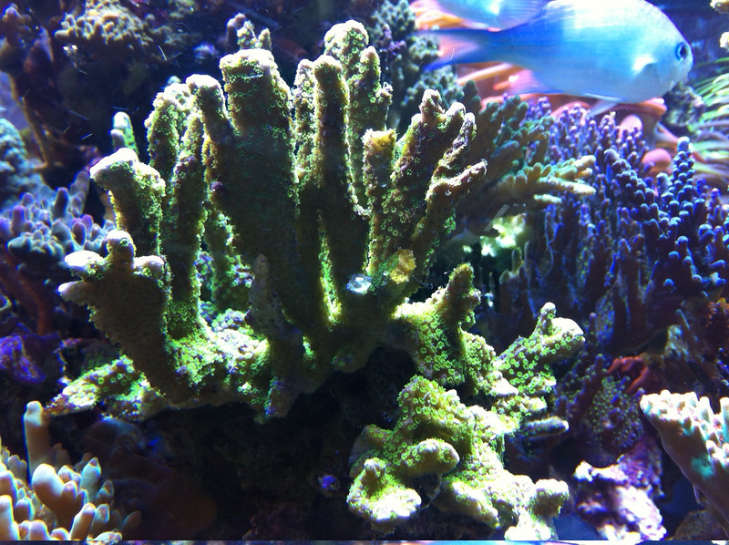 photo-3-L.jpg