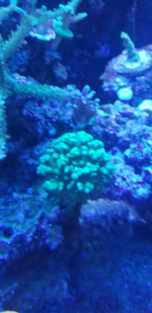 0a23e8d9a7b8a3f488e3f2b00d5cfb24.jpg