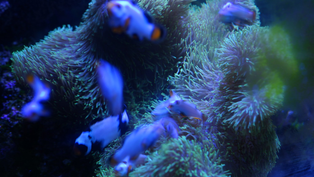 DSC06094-XL.jpg