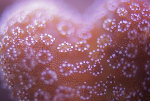 3247188420_362d095b0f.jpg