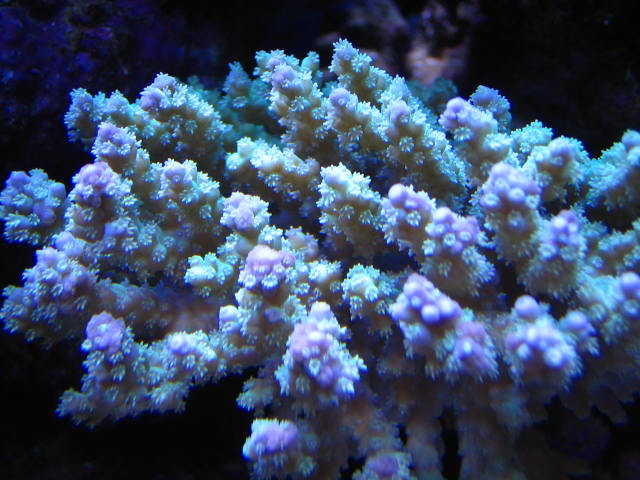20071206_ab43c32402380e9f78b3UjUerQGE1sZm.jpg