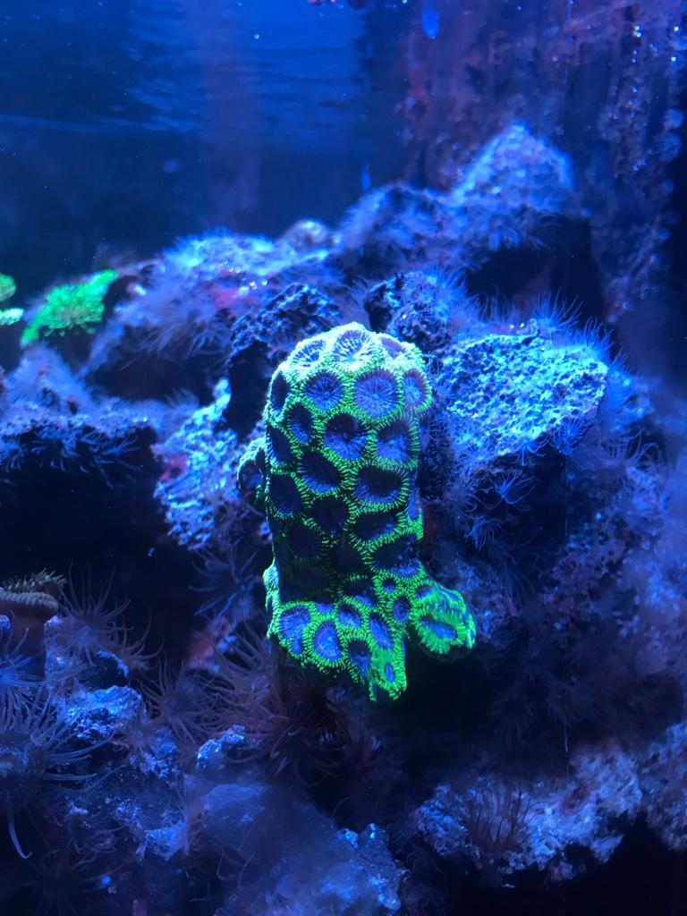 8b62b154e87f183ec5b7990a90b6e524.jpg