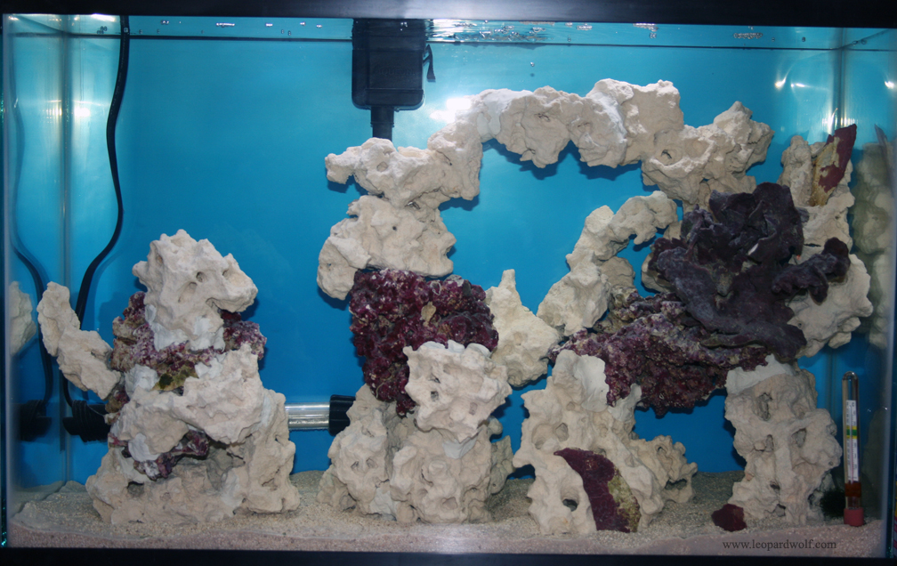13gal_nano1.jpg