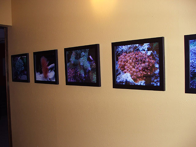 5pictures_2.jpg