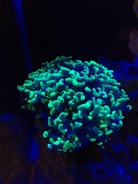 f94efd13e830d1f22c14ffba0c0d6fd2.jpg