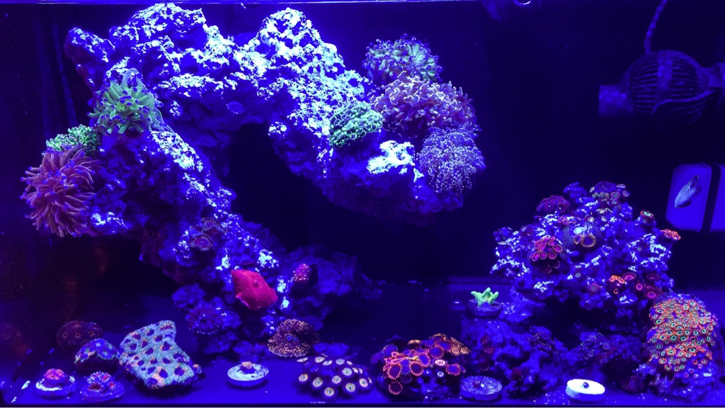 1be674553d31de96f49c649d8e05aa76.jpg