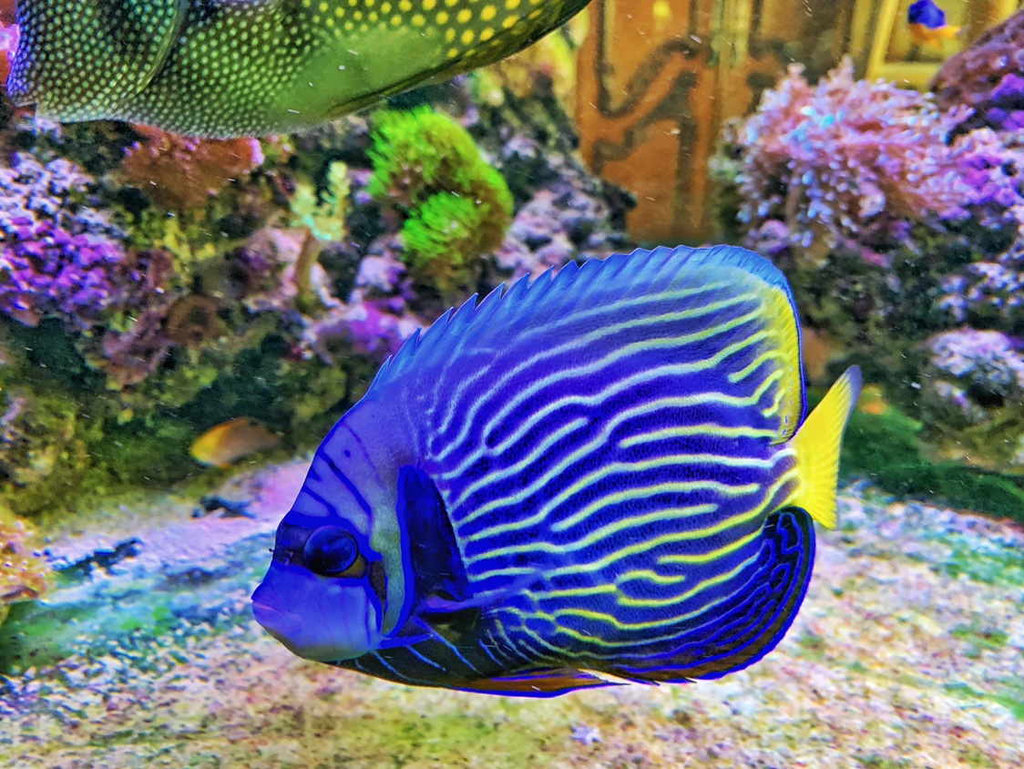 20cbd1b7331739610e6711781b8d93c2.jpg