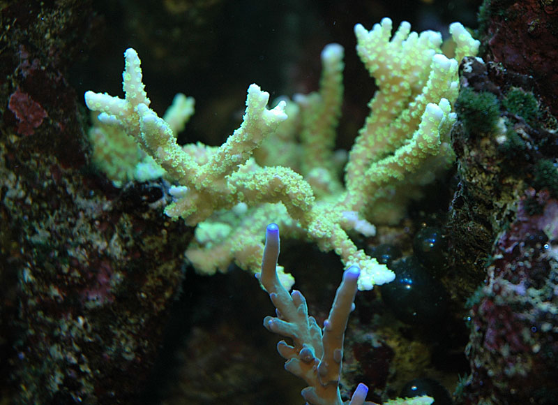 DSC_0846.jpg