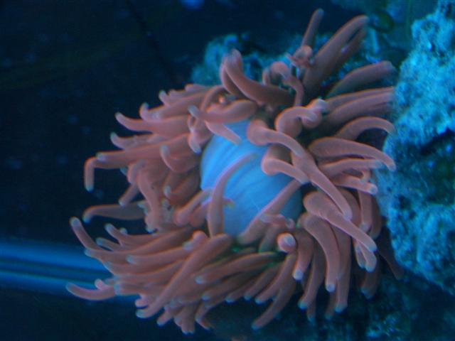 IMGP1161 (small).jpg