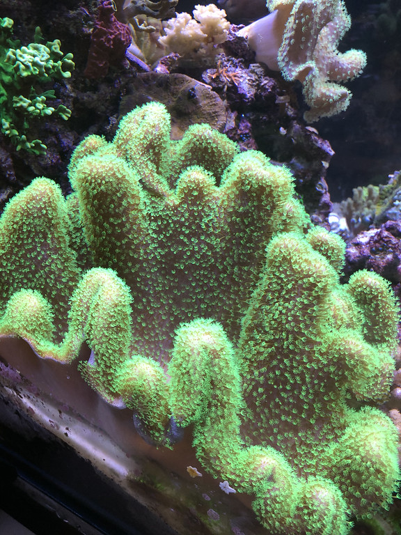 IMG_2495_heic-XL.jpg