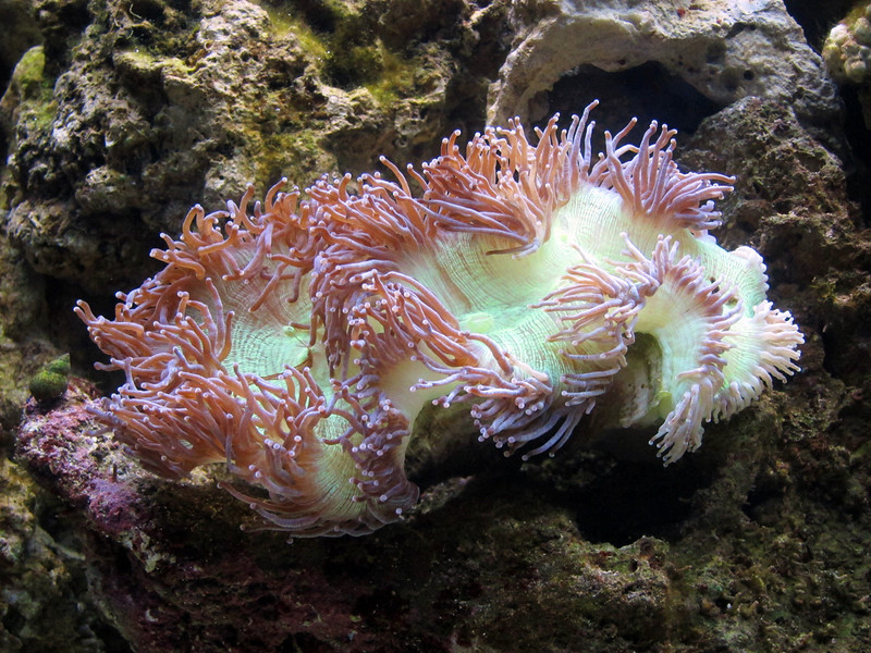 1180810450_viNN3-L.jpg