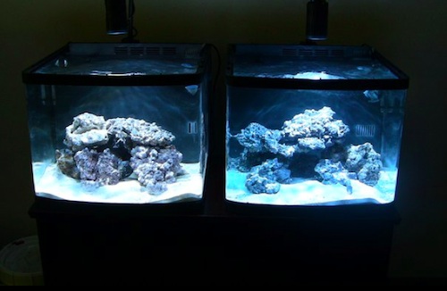 kessil_10k_15k.jpg