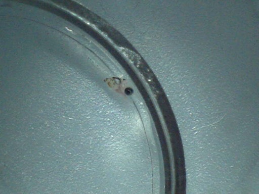 AL_647_2.jpg