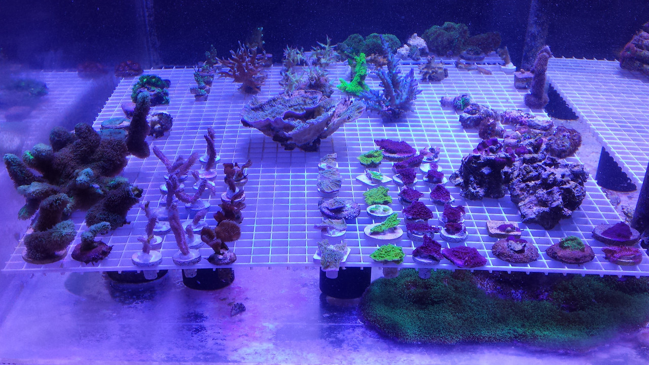 20140320_181902-X2.jpg