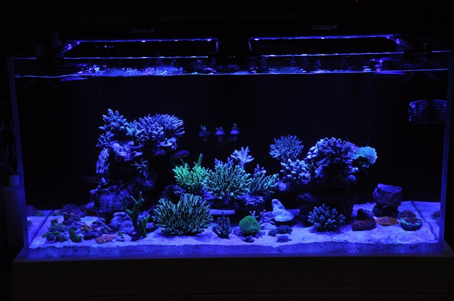 DSC_2928.JPG