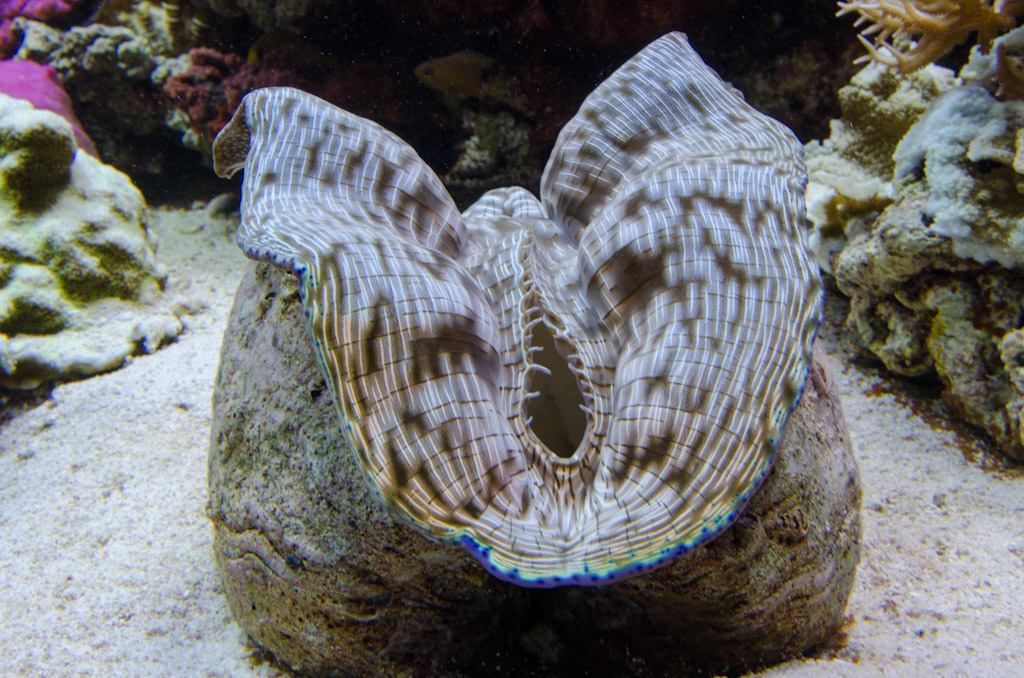 DSC_3716.jpg