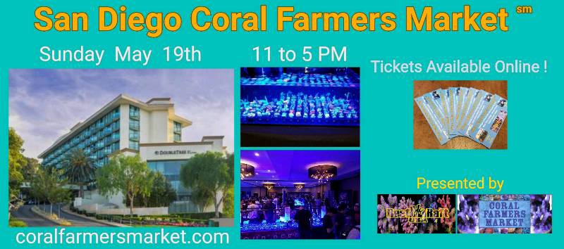 ticketad_sandiego_small.jpg