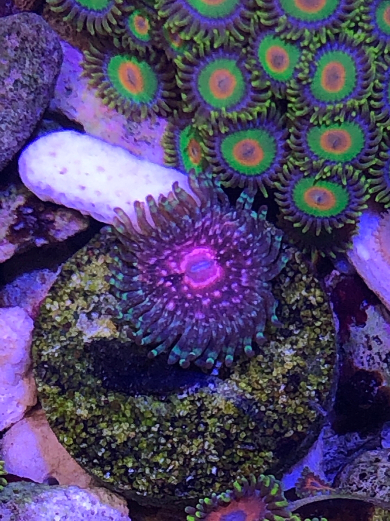 e059bee8ae1f7b89a01f534c89e97e7c.jpg